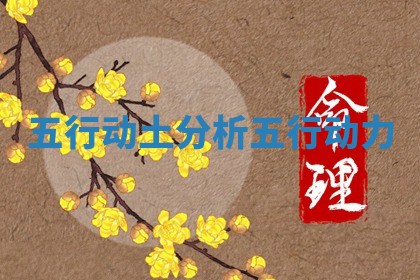 五行动土分析 五行动力