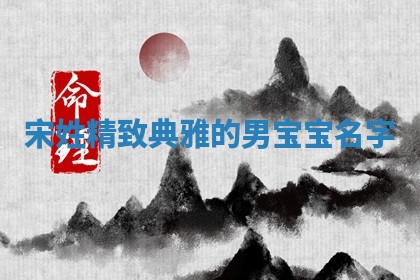 宋姓精致典雅的男宝宝名字