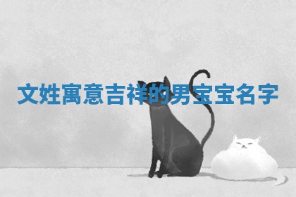 文姓寓意吉祥的男宝宝名字