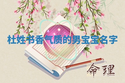 杜姓书香气质的男宝宝名字