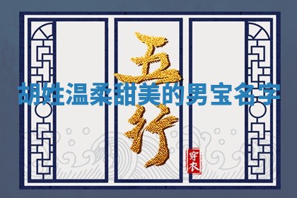 胡姓温柔甜美的男宝名字